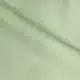 ירוק בהיר