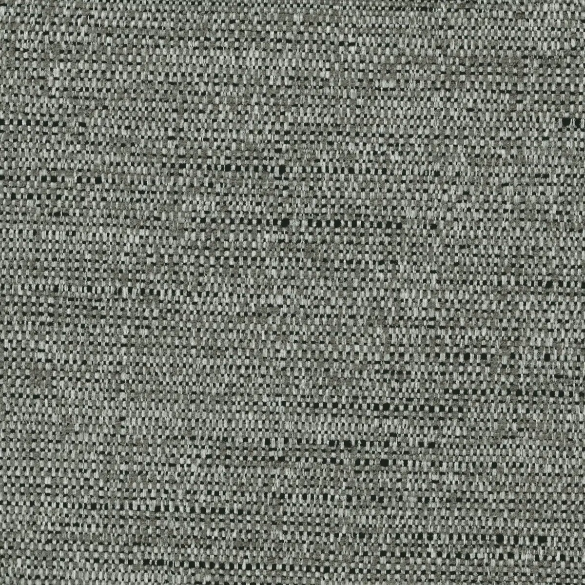 מרטין 529248