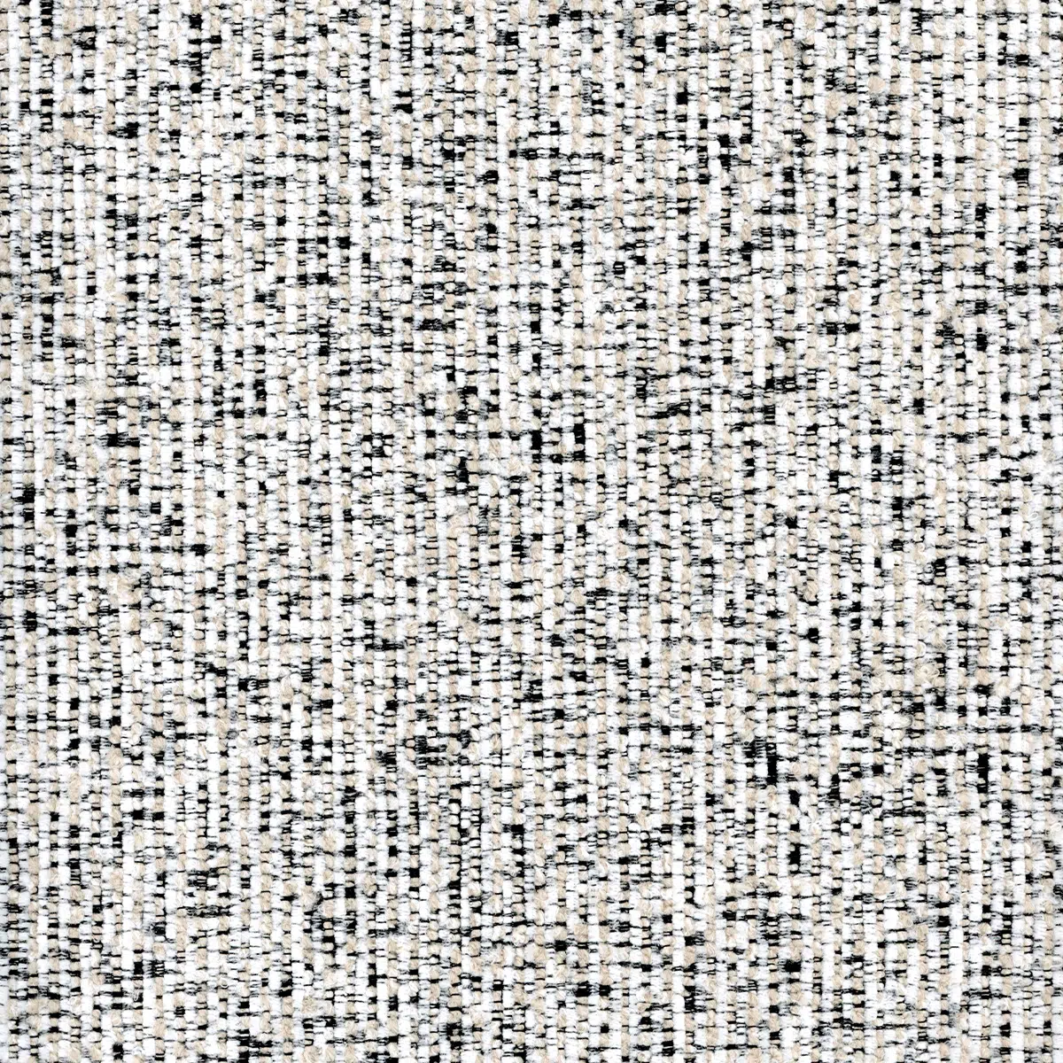 לורן 563847